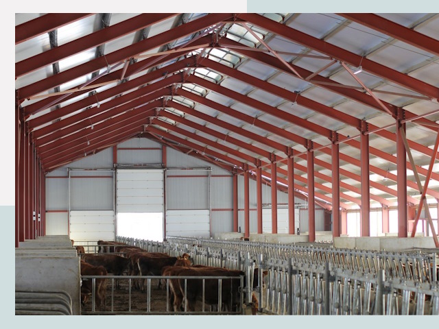 Строительство коровников в Сергиеве Посаде