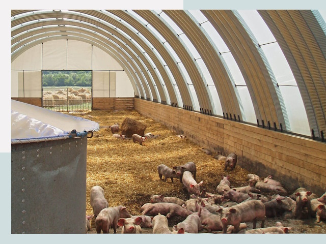 Строительство свинарников в Сергиеве Посаде