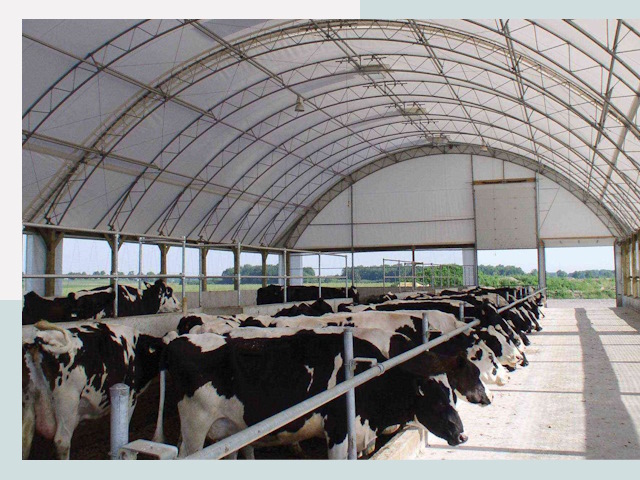 Тентовые коровники в Сергиеве Посаде